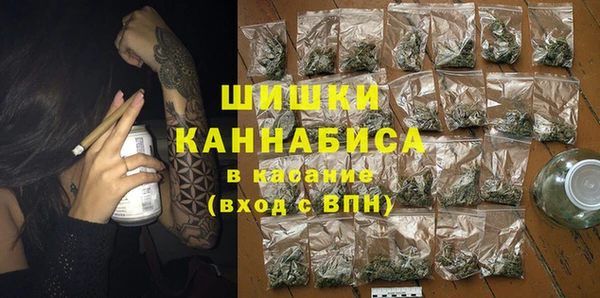 крисы Инта
