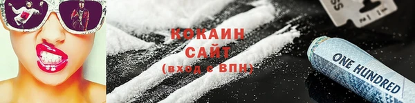 крисы Инта