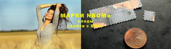 крисы Инта