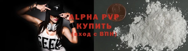крисы Инта