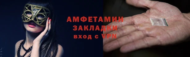 крисы Инта