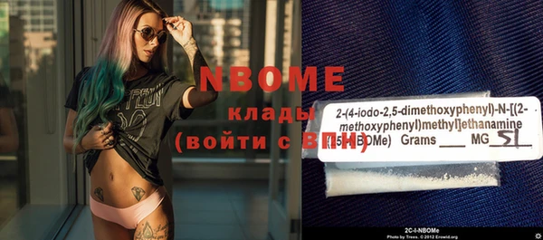 крисы Инта