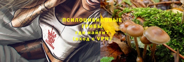 ALPHA-PVP Инсар