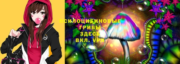 ECSTASY Иннополис