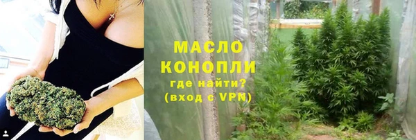крисы Инта