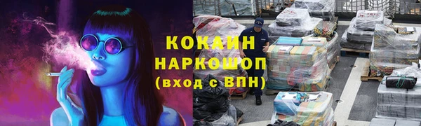 крисы Инта