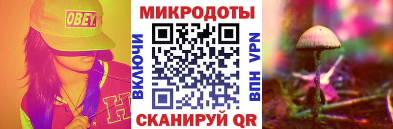 Купить  Грязовец  Псилоцибиновые грибы мицелий 