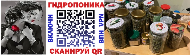 Купить закладки  Грязовец  Бошки марихуана семена 